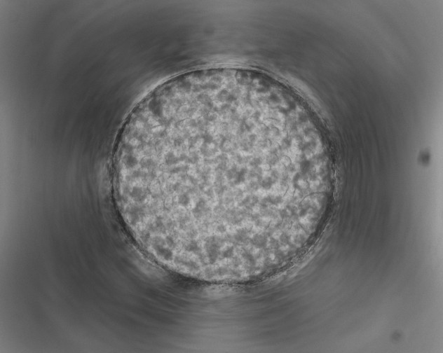 X0000116581212201001211257