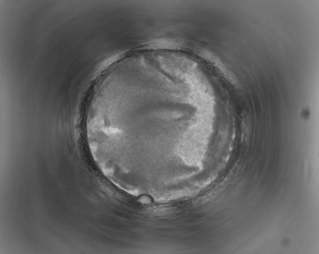 X0000116581213201001211257