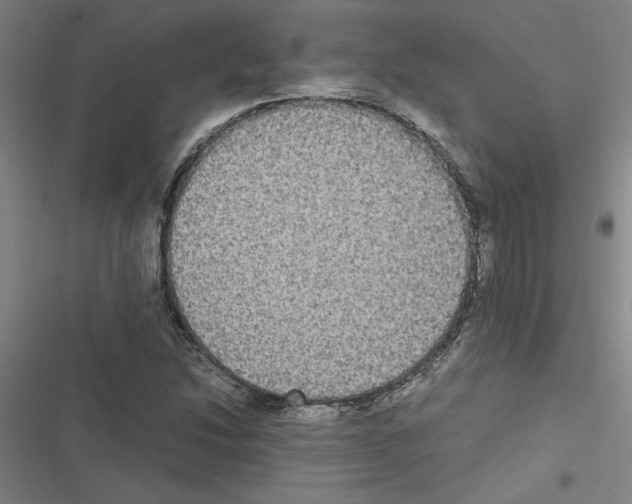 X0000116581214201001211257