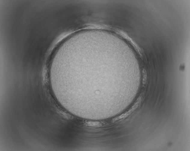 X0000116581215201001211257