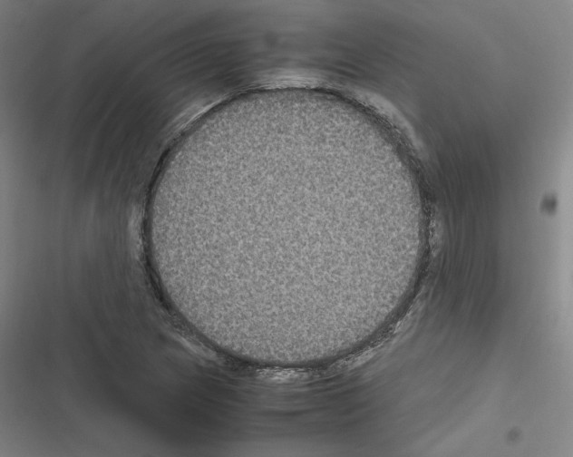 X0000116581217201001211257