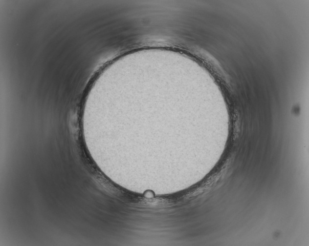X0000116581218201001211257