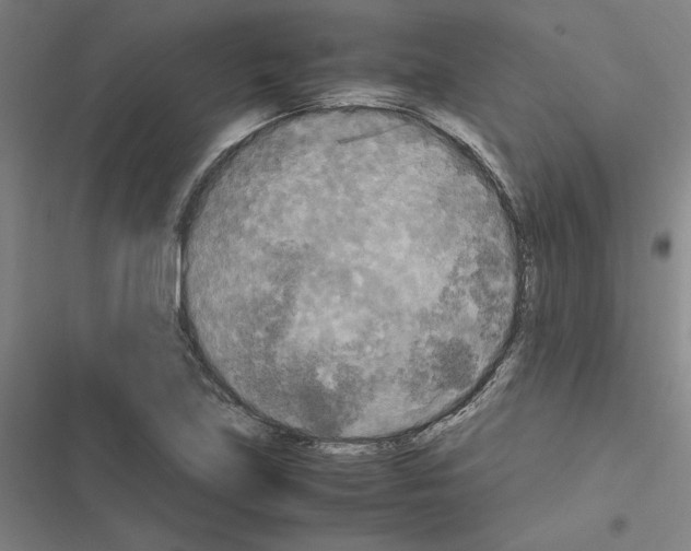 X0000116581219201001211257