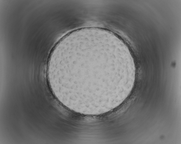 X0000116581220201001211257
