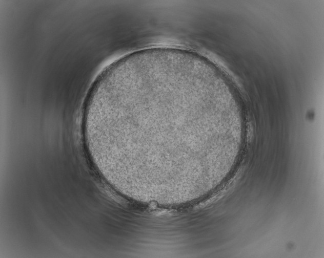 X0000116581222201001211257