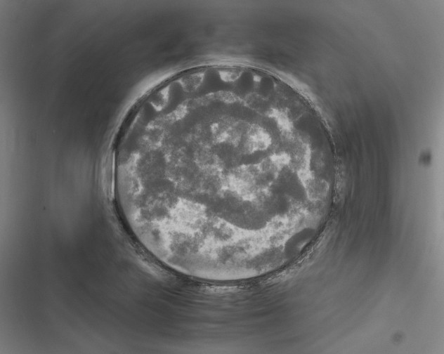 X0000116581223201001211257