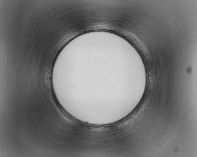 X0000116581225201001211258