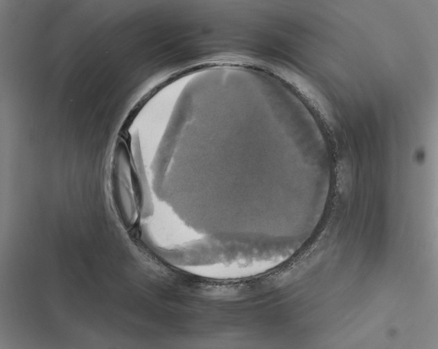 X0000116581229201001211258