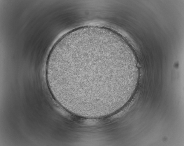 X0000116581232201001211258