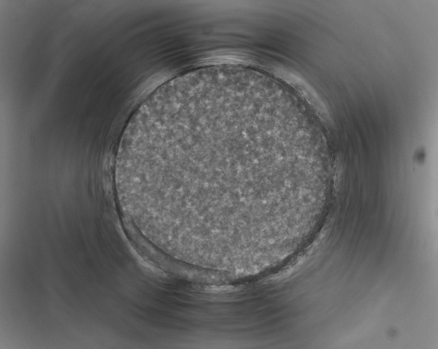 X0000116581233201001211258