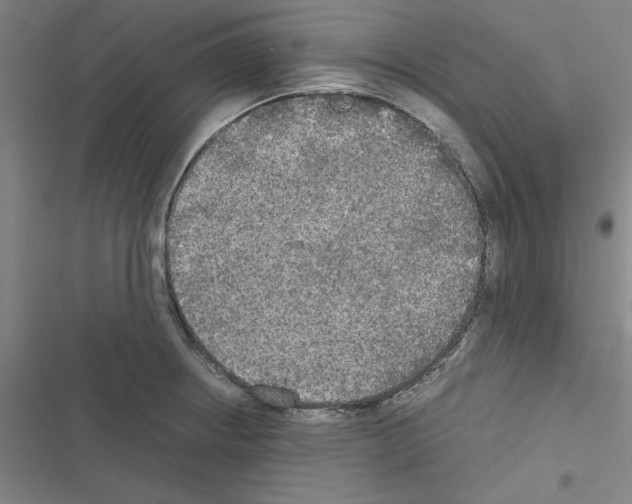 X0000116581234201001211258