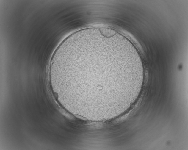 X0000116581236201001211258