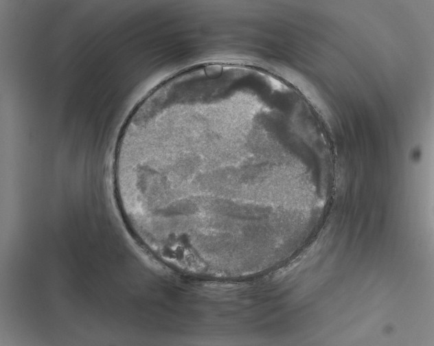 X0000116581237201001211258