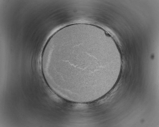 X0000116581238201001211258