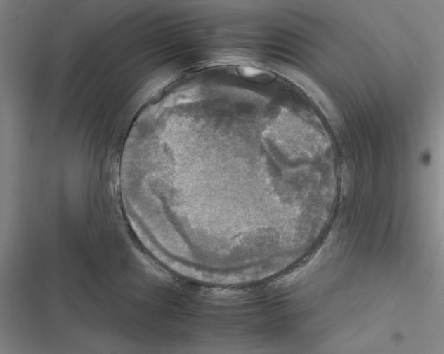 X0000116581241201001211258