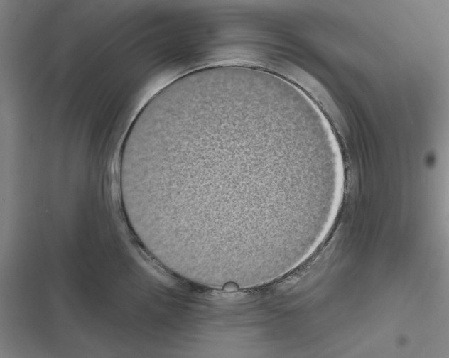 X0000116581242201001211258