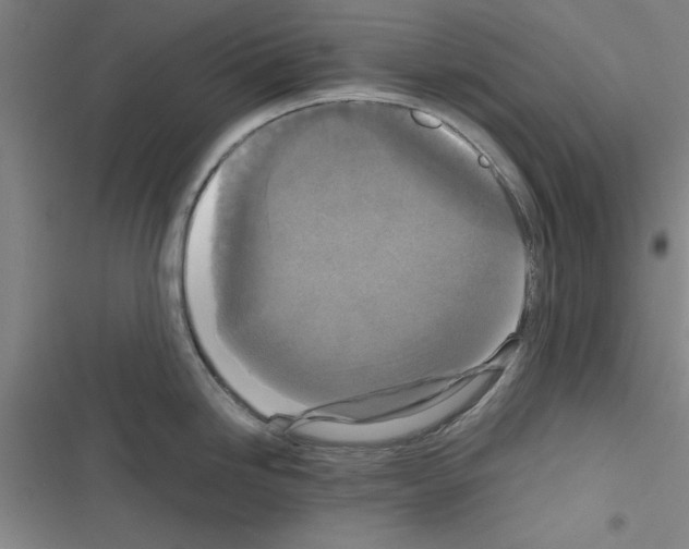 X0000116581246201001211258