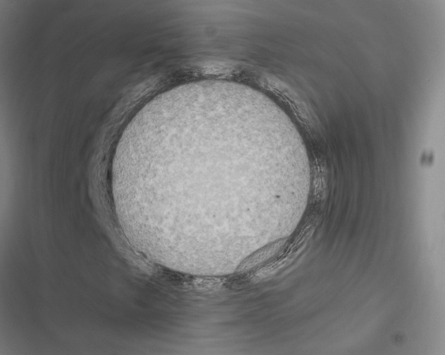 X0000116581249201001211257