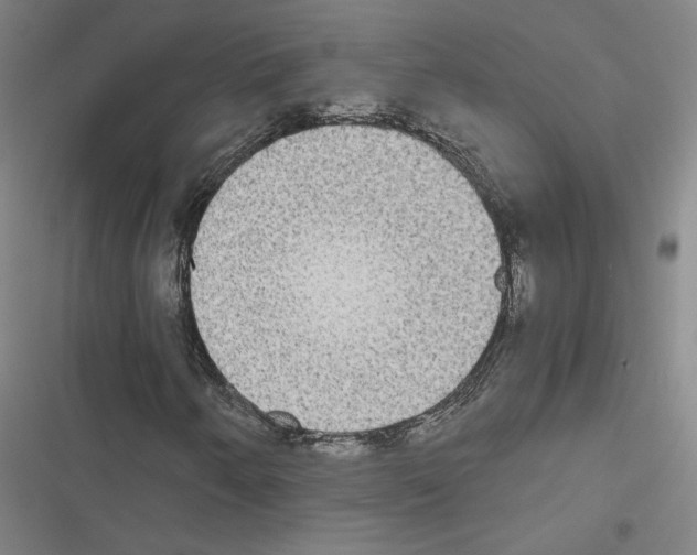 X0000116581250201001211257