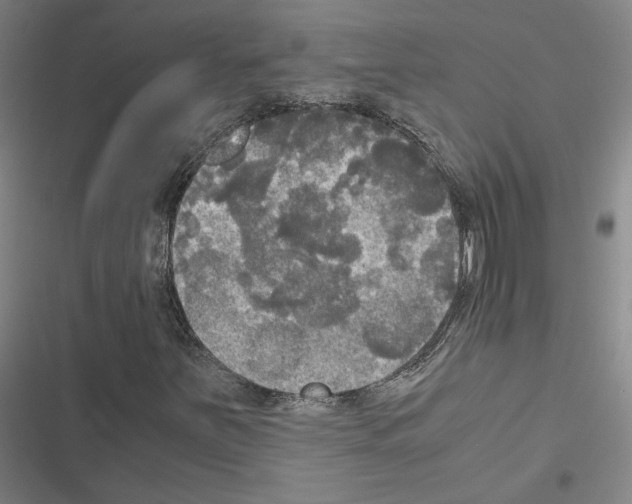 X0000116581251201001211257