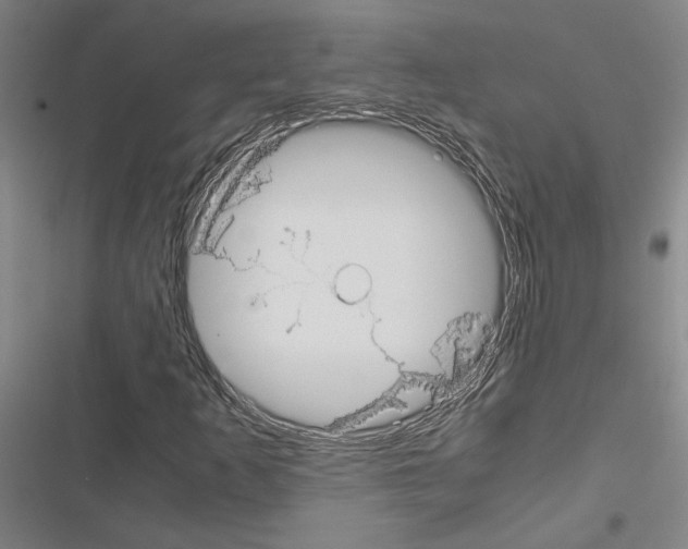 X0000116581253201001211257