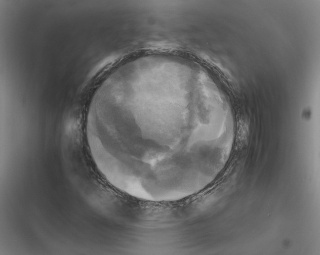 X0000116581254201001211257