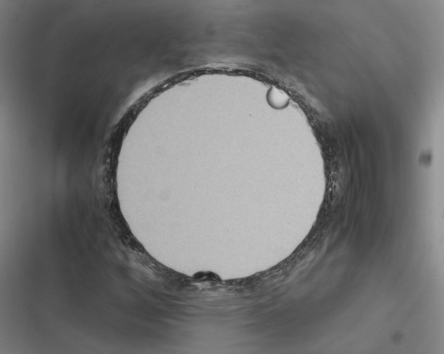 X0000116581256201001211257