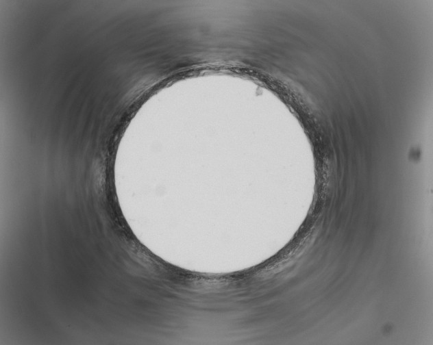 X0000116581257201001211257