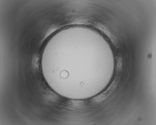 X0000116581258201001211257
