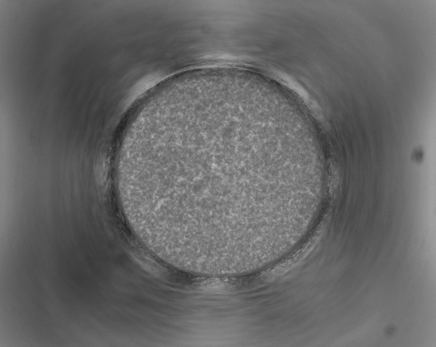 X0000116581259201001211257