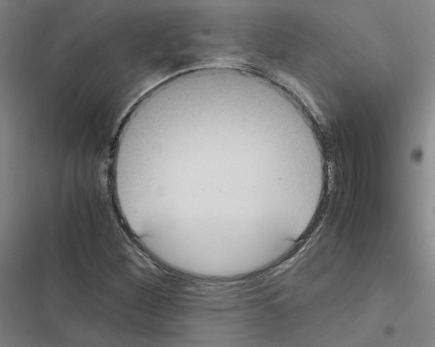 X0000116581260201001211257