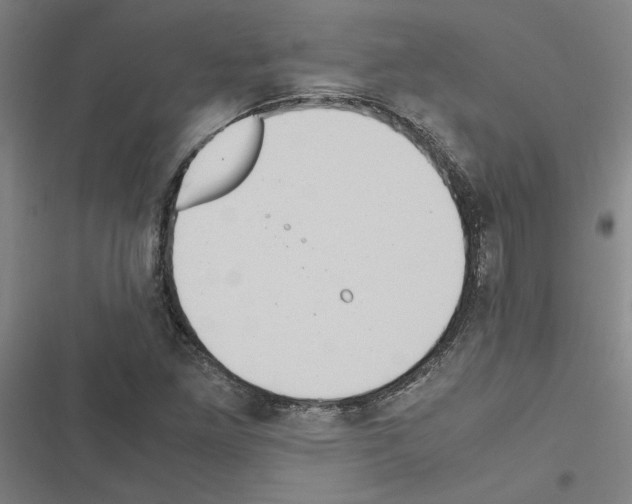 X0000116581261201001211257