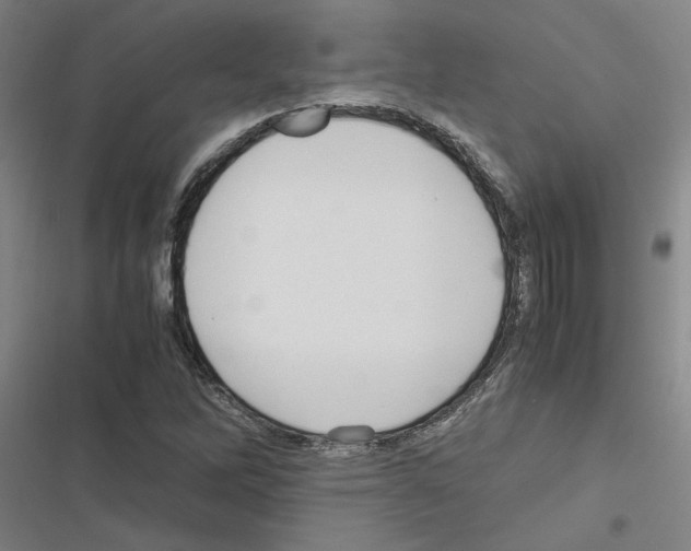 X0000116581262201001211257