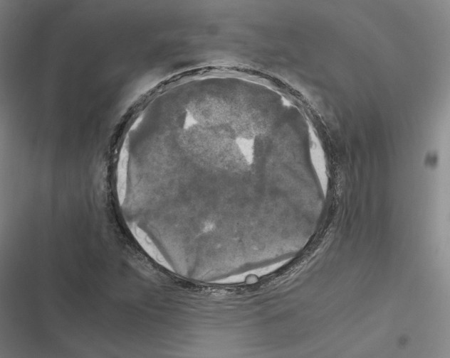 X0000116581263201001211257