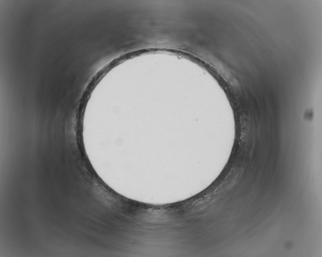 X0000116581264201001211257