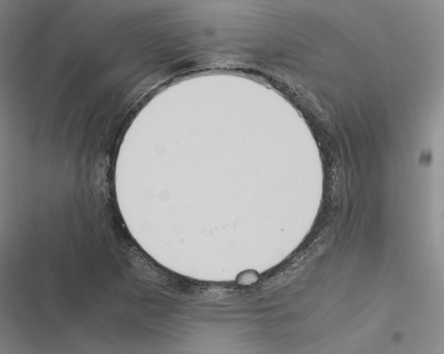 X0000116581265201001211257