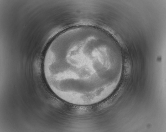 X0000116581266201001211257