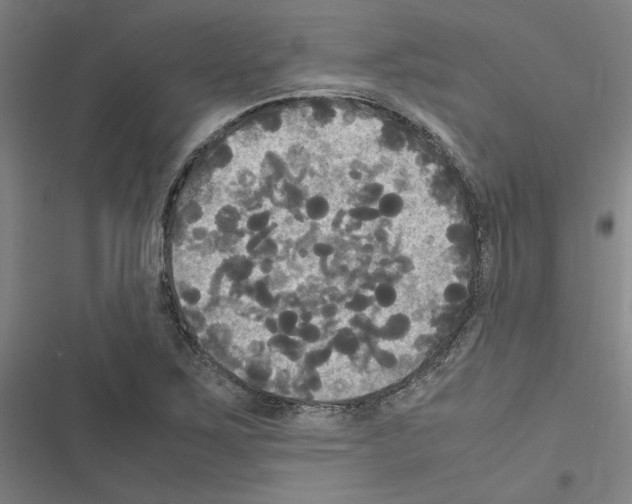 X0000116581267201001211257