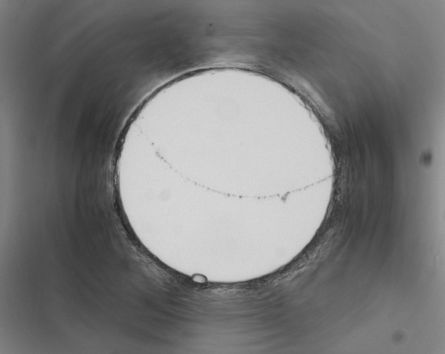X0000116581268201001211257