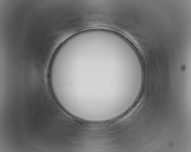 X0000116581269201001211257