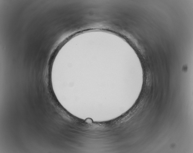 X0000116581270201001211257