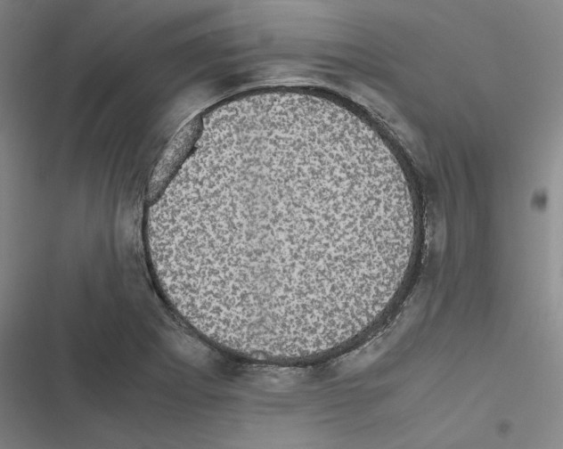 X0000116581273201001211257