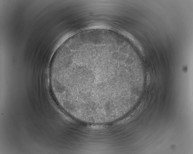 X0000116581274201001211257