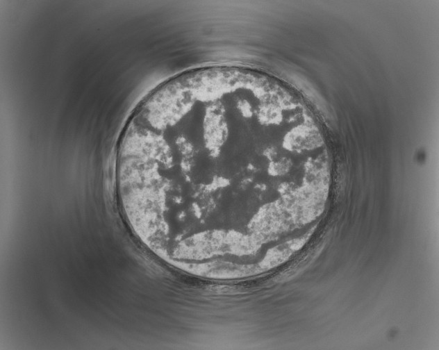 X0000116581275201001211257