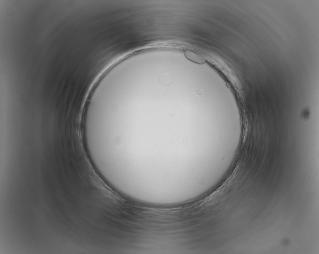 X0000116581276201001211257