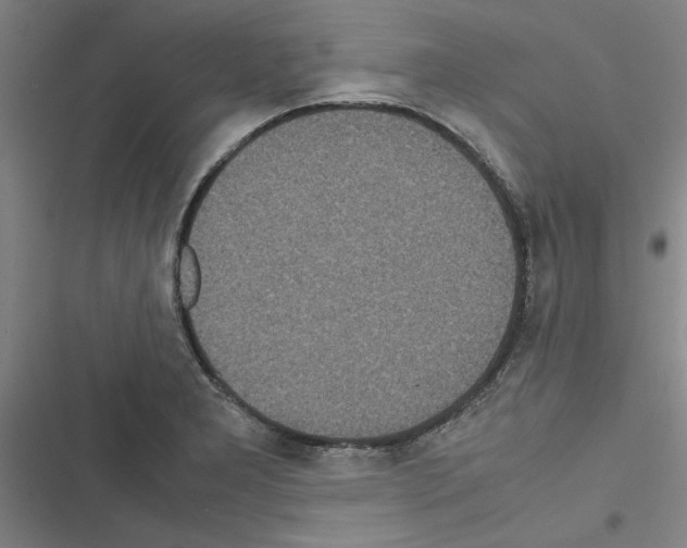 X0000116581277201001211257