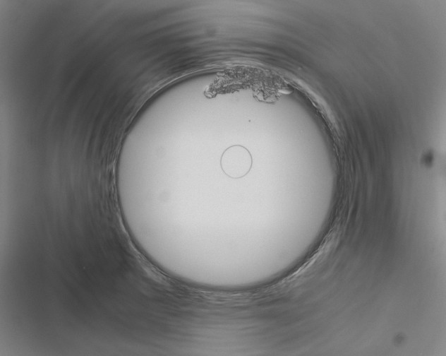 X0000116581281201001211257