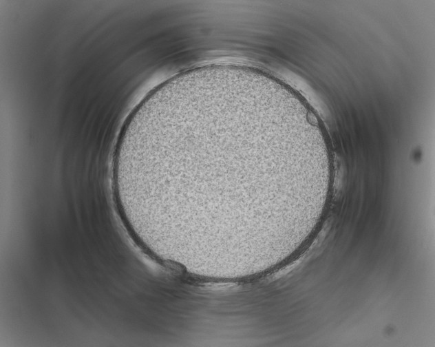 X0000116581282201001211257