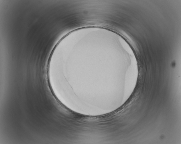 X0000116581291201001211257