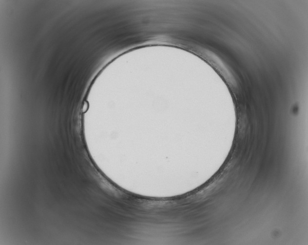 X0000116581292201001211257